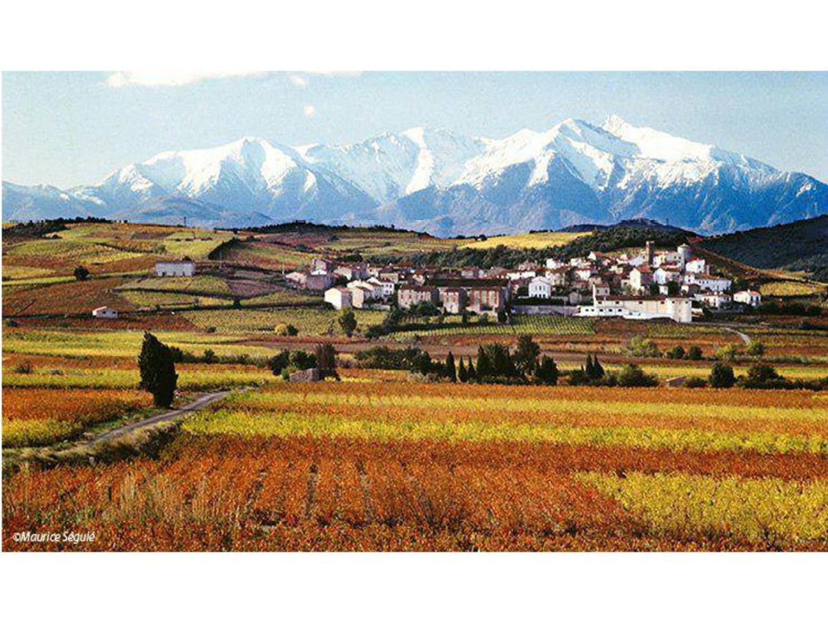 Entre Mer Et Montagne Montner Экстерьер фото